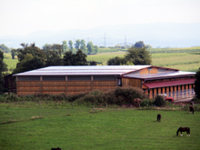 Reithalle, Opfingen - 160 kWp Nennleistung